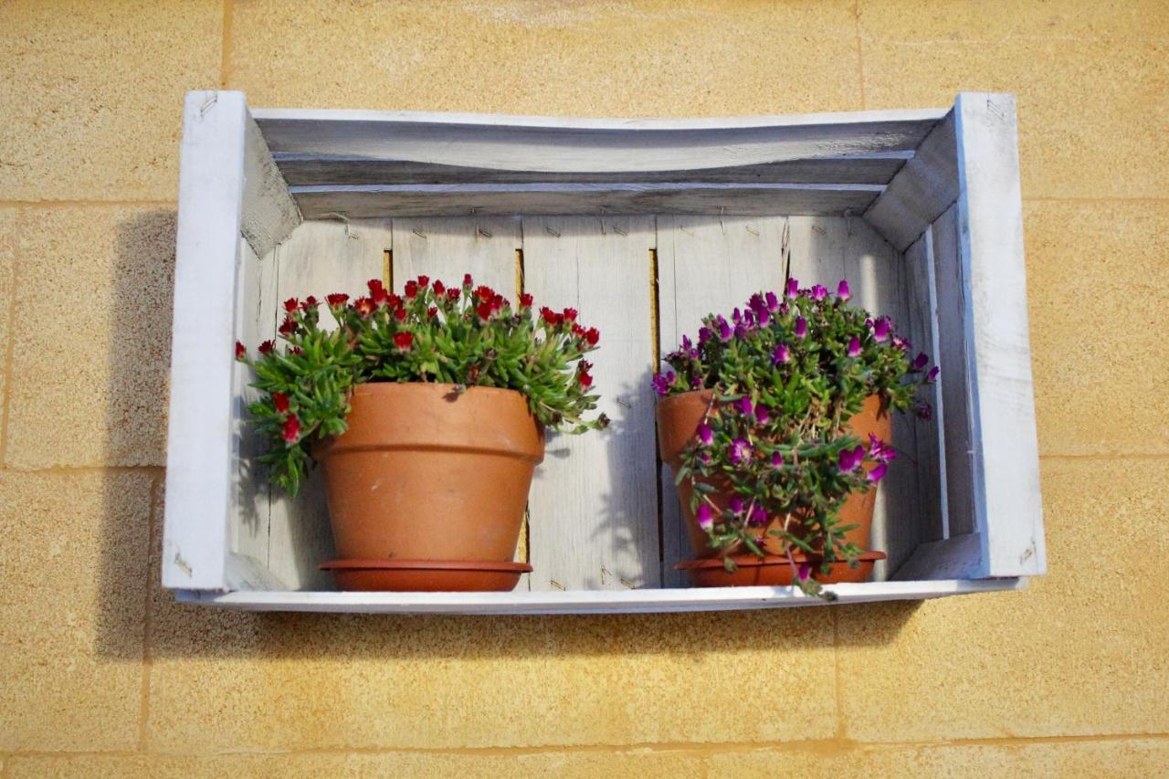 לצ'ה B&B Degli Angeli מראה חיצוני תמונה